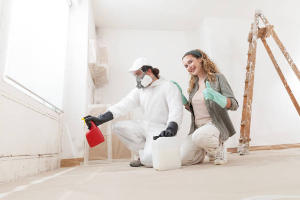 Best Commercial Mold Inspection  in Hohenwald, TN